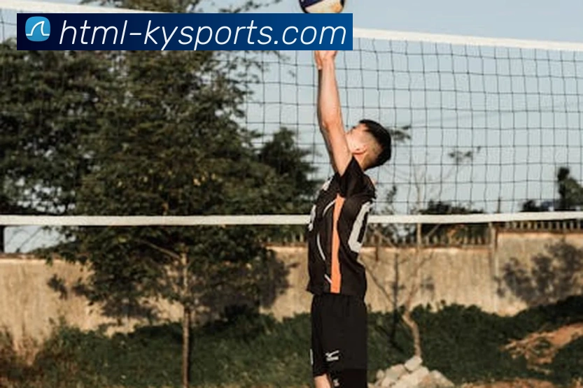 球赛投注平台生态图